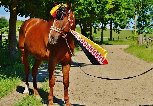 望保住位置 望保住位置