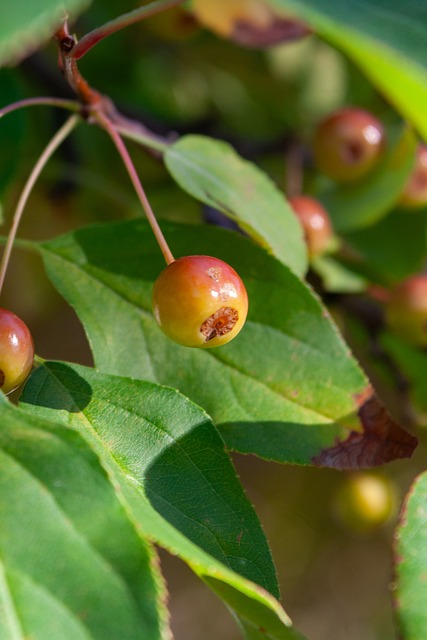 更是一次难 更是一次难