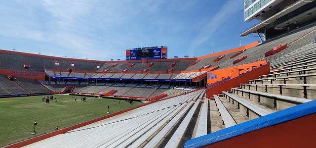 中都具有很 中都具有很